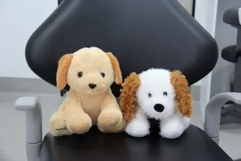 dental anxiety dogs.webp